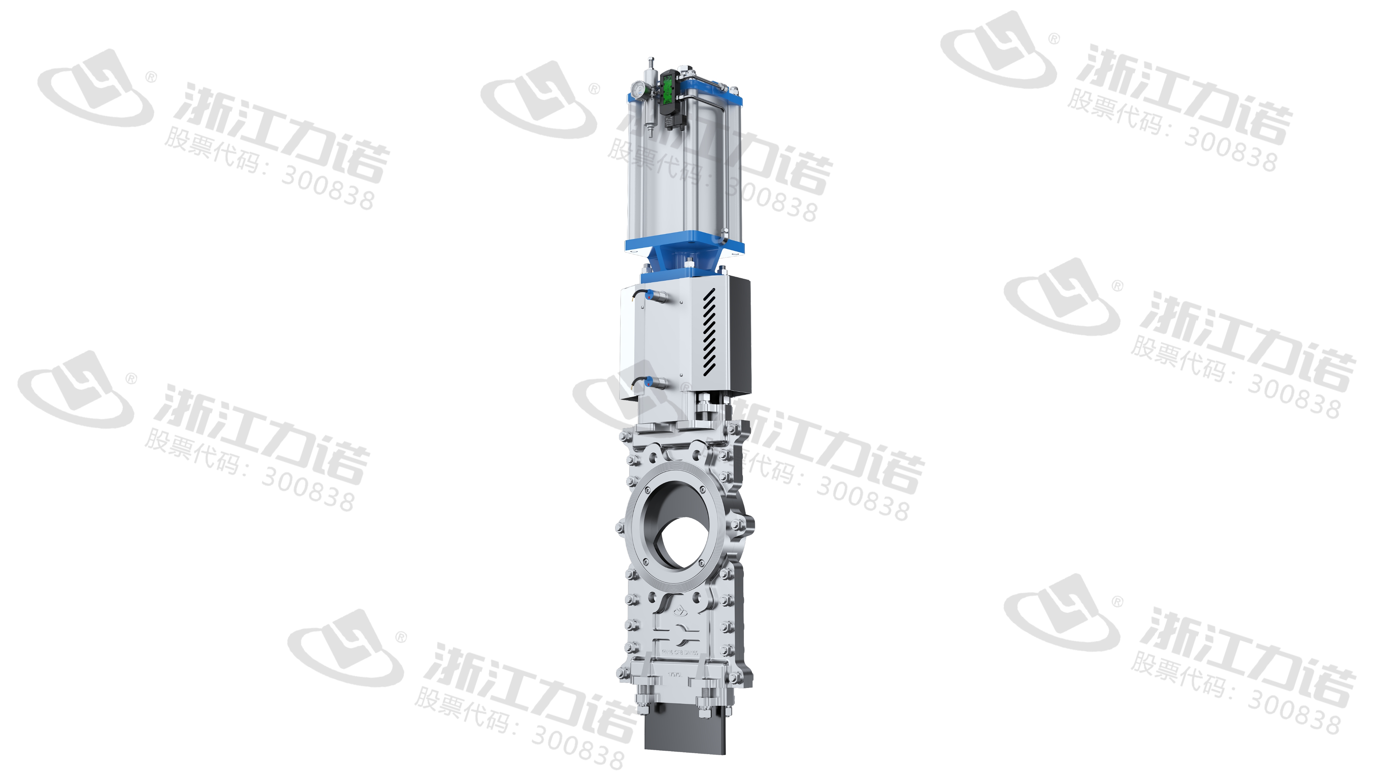 Penetration Gate Valve